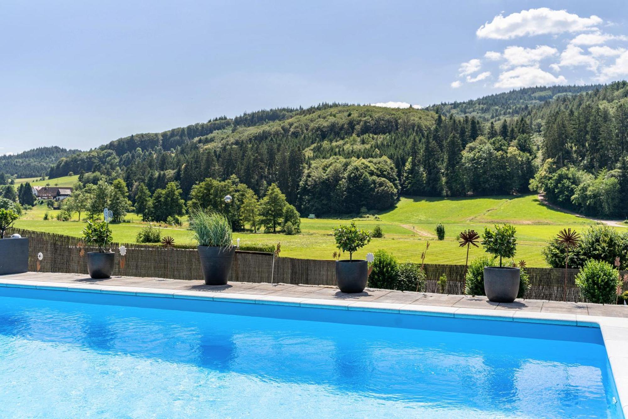 Ferienwohnung Geisbergblick Seelbach  Esterno foto